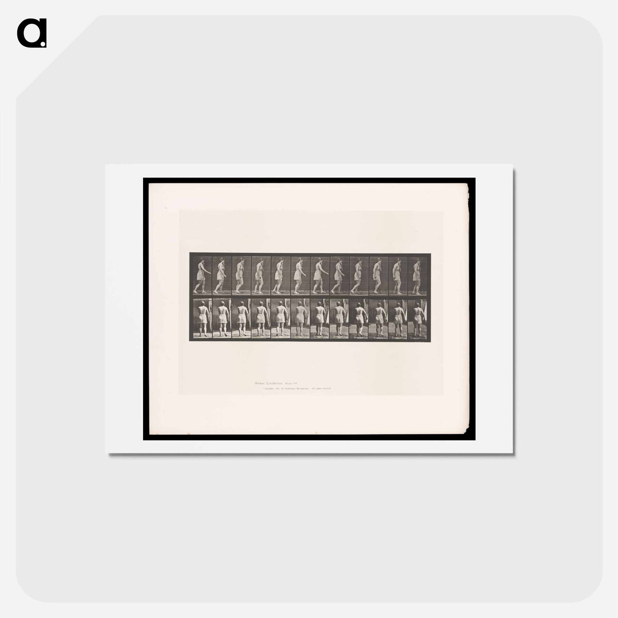 アートポストカード-Walking Figure
 - エドワード マイブリッジ Postcard.