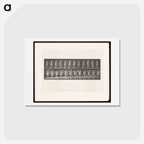 アートポストカード-Walking Figure
 - エドワード マイブリッジ Postcard.