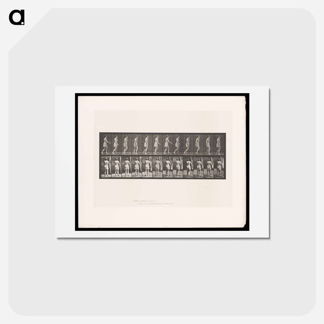アートポストカード-Walking Figure
 - エドワード マイブリッジ Postcard.