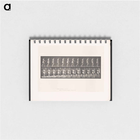 アートメモ帳-Walking Figure
 - エドワード マイブリッジ Memo.