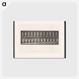 アートポストカード-Walking Figure
 - エドワード マイブリッジ Postcard.