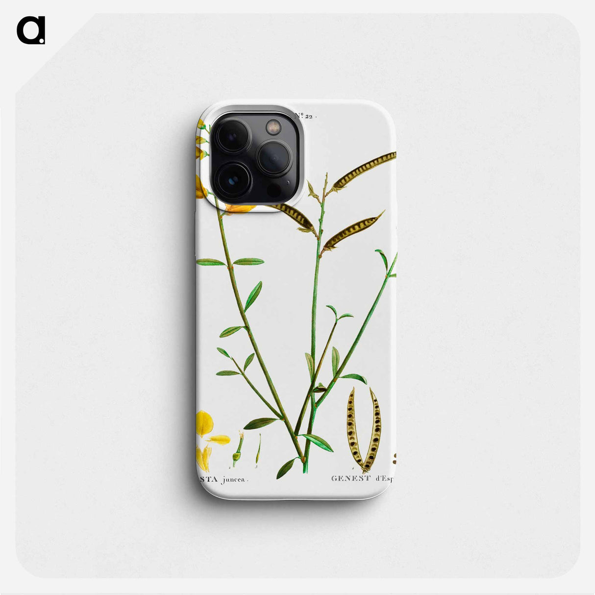 Spanish broom - ピエール ジョゼフ ルドゥーテ Phone Case.