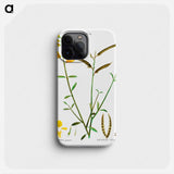 Spanish broom - Pierre Joseph Redouté Phone Case.