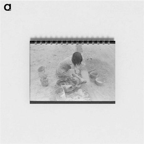 アートメモ帳-Dehydrated Cabbage Quality
 - ラッセル リー Memo.