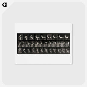 アートポストカード-Nude Smoker
 - エドワード マイブリッジ Postcard.