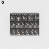 アートメモ帳-Nude Smoker
 - エドワード マイブリッジ Memo.