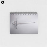 アートメモ帳-Parrying Dagger
 - セントルイス美術館 Memo.