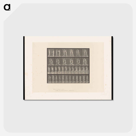 アートポストカード-Naked Women Drinking
 - エドワード マイブリッジ Postcard.