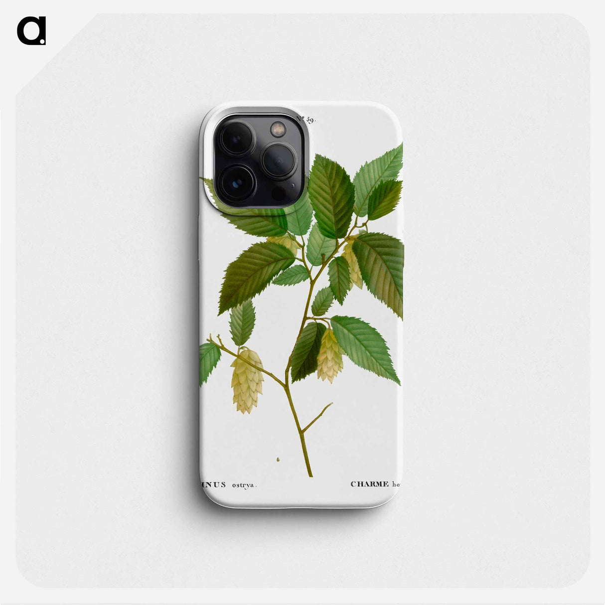 American hophornbeam - ピエール ジョゼフ ルドゥーテ Phone Case.