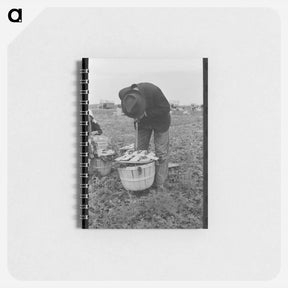アートメモ帳-Wheat Farmer
 - ラッセル リー Memo.