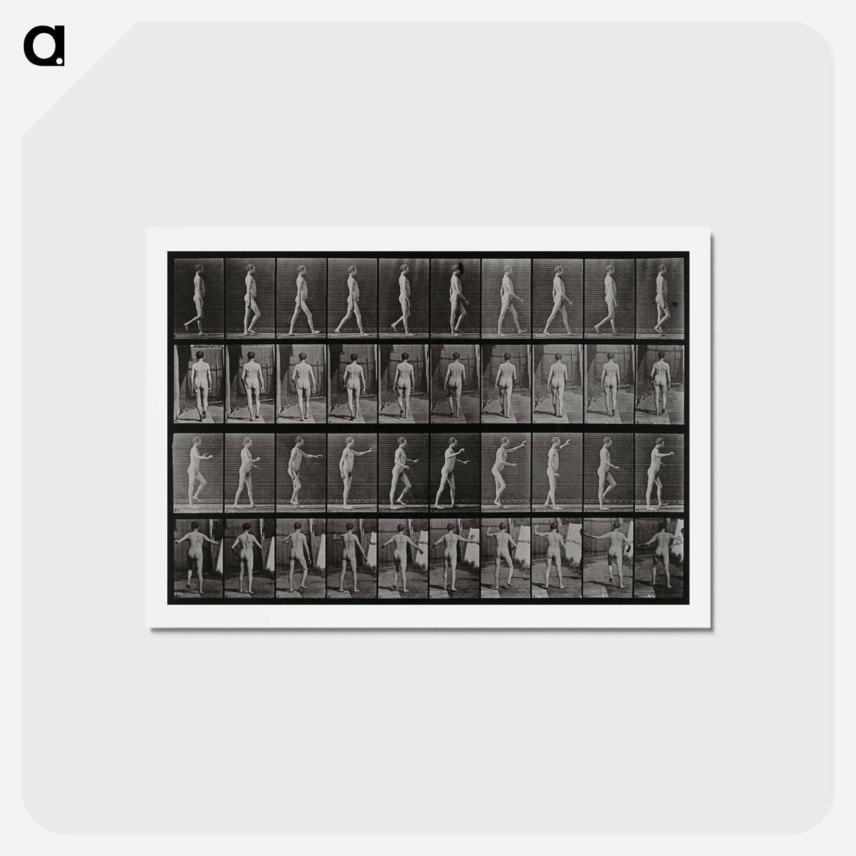アートポストカード-Man Walking
 - エドワード マイブリッジ Postcard.