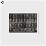 アートポストカード-Man Walking
 - エドワード マイブリッジ Postcard.