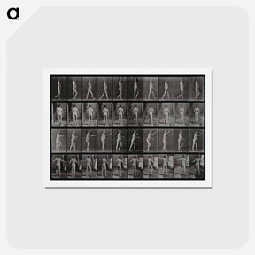 アートポストカード-Man Walking
 - エドワード マイブリッジ Postcard.
