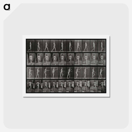 アートポストカード-Man Walking
 - エドワード マイブリッジ Postcard.
