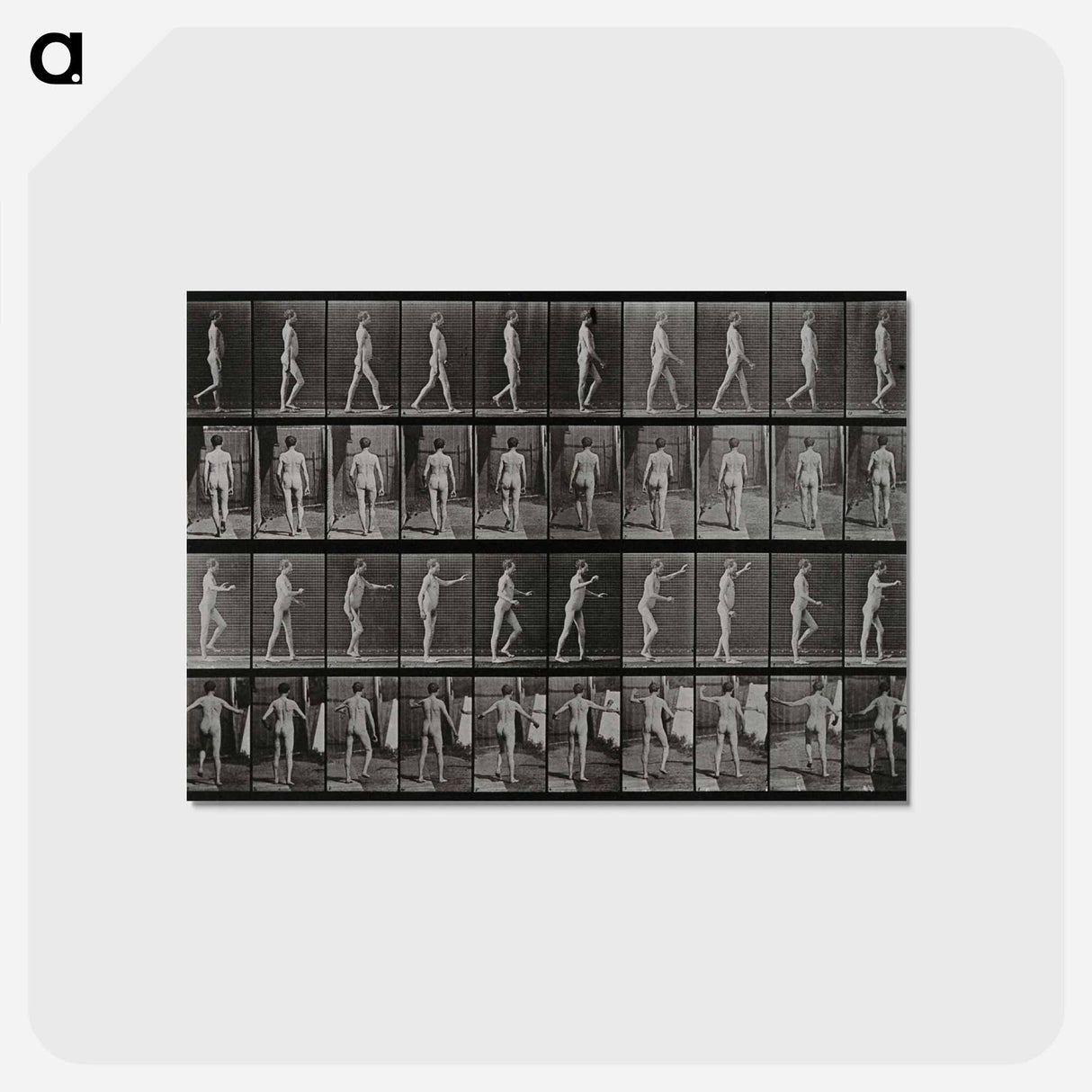 アートポストカード-Man Walking
 - エドワード マイブリッジ Postcard.