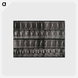 アートポストカード-Man Walking
 - エドワード マイブリッジ Postcard.