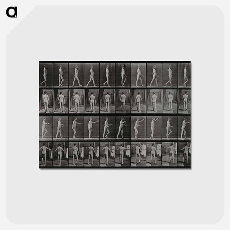 アートポストカード-Man Walking
 - エドワード マイブリッジ Postcard.
