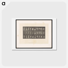 アートポストカード-Undressing
 - エドワード マイブリッジ Postcard.
