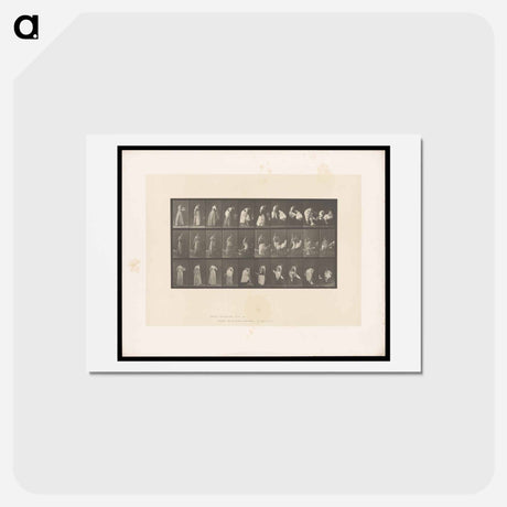 アートポストカード-Undressing
 - エドワード マイブリッジ Postcard.