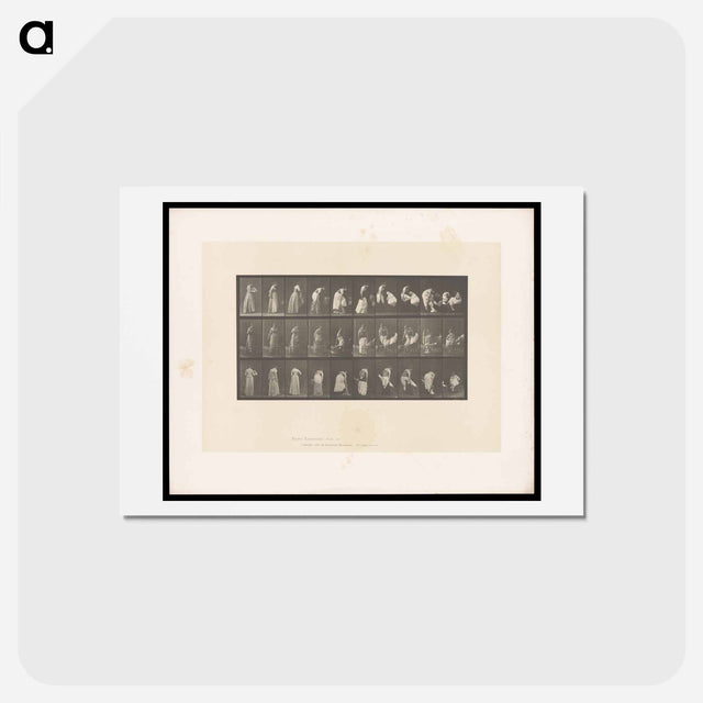アートポストカード-Undressing
 - エドワード マイブリッジ Postcard.
