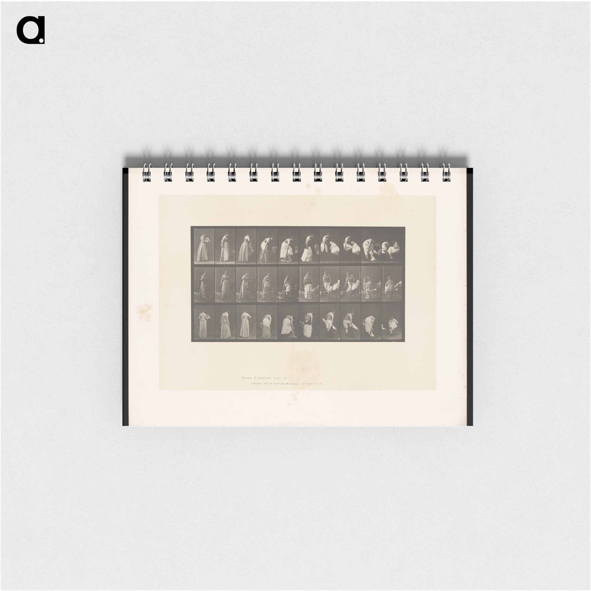 アートメモ帳-Undressing
 - エドワード マイブリッジ Memo.