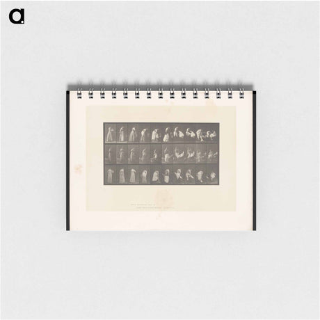 アートメモ帳-Undressing
 - エドワード マイブリッジ Memo.