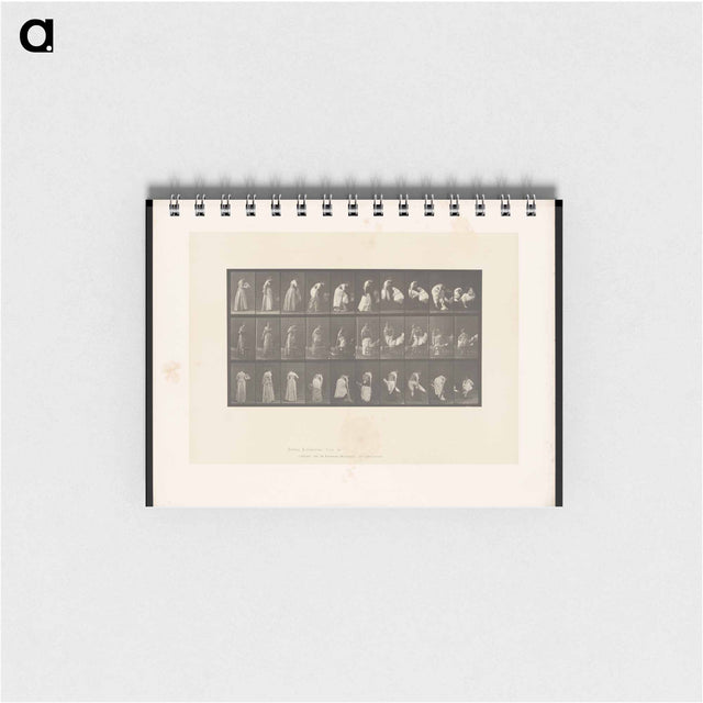 アートメモ帳-Undressing
 - エドワード マイブリッジ Memo.