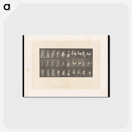 アートポストカード-Undressing
 - エドワード マイブリッジ Postcard.