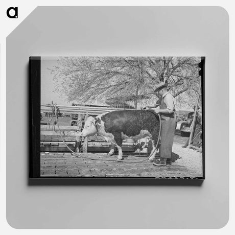 アートパネル-Laurel Cotton Mills
 - ラッセル リー Canvas.