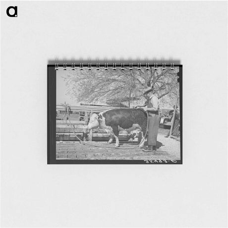 アートメモ帳-Laurel Cotton Mills
 - ラッセル リー Memo.
