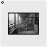 アートポストカード-Chicago Back Porches
 - ラッセル リー Postcard.