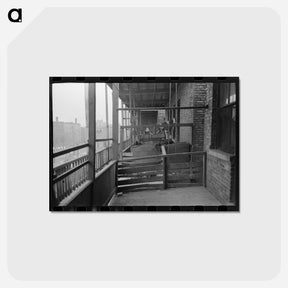 アートポストカード-Chicago Back Porches
 - ラッセル リー Postcard.