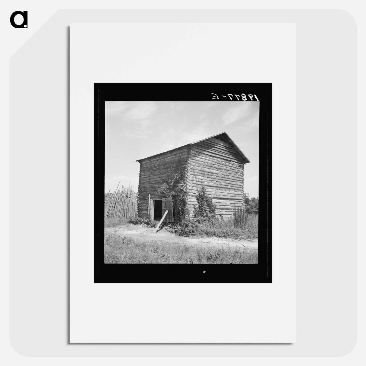 The old tobacco barn - Dorothea Lange Poster.