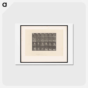 アートポストカード-Wrestling Men
 - エドワード マイブリッジ Postcard.