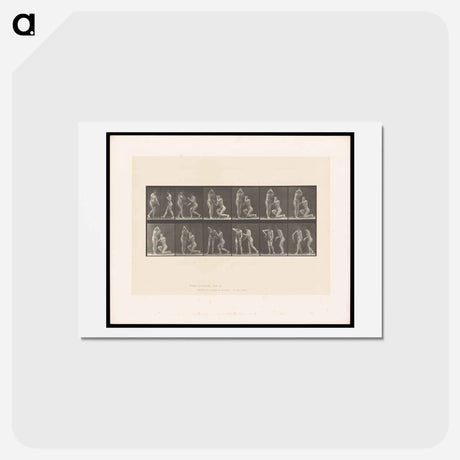 アートポストカード-Thirsty Nymphs
 - エドワード マイブリッジ Postcard.