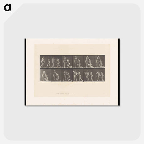 アートポストカード-Thirsty Nymphs
 - エドワード マイブリッジ Postcard.