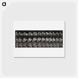 アートポストカード-Making a Bed
 - エドワード マイブリッジ Postcard.