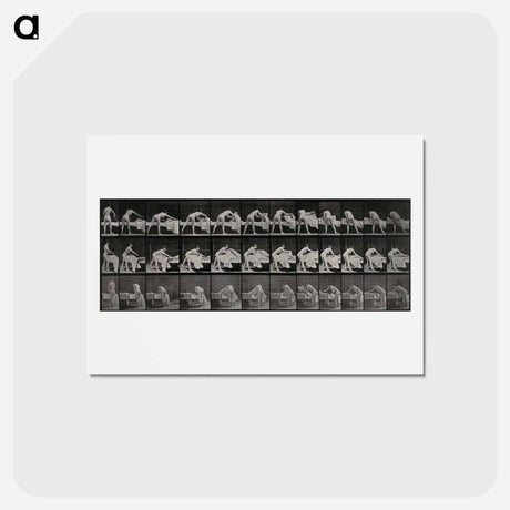 アートポストカード-Making a Bed
 - エドワード マイブリッジ Postcard.