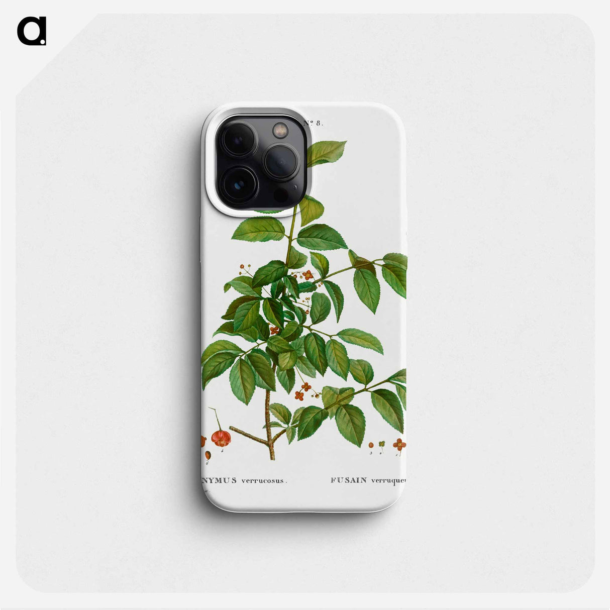 Spindle, Evnymus verrucosus - ピエール ジョゼフ ルドゥーテ Phone Case.