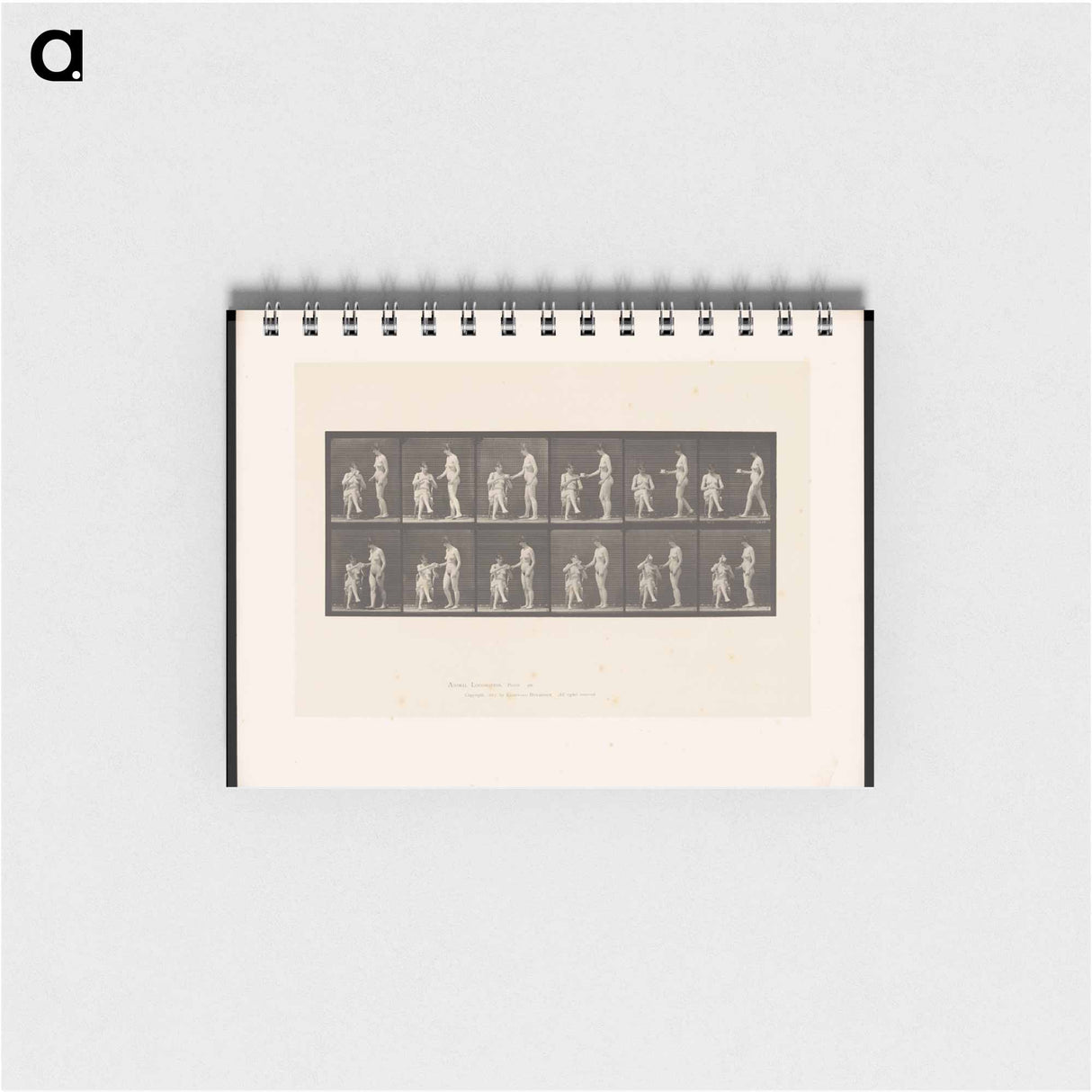 アートメモ帳-Tea for Two
 - エドワード マイブリッジ Memo.