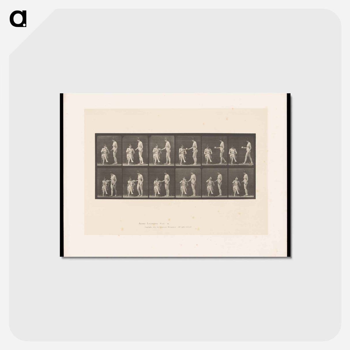 アートポストカード-Tea for Two
 - エドワード マイブリッジ Postcard.