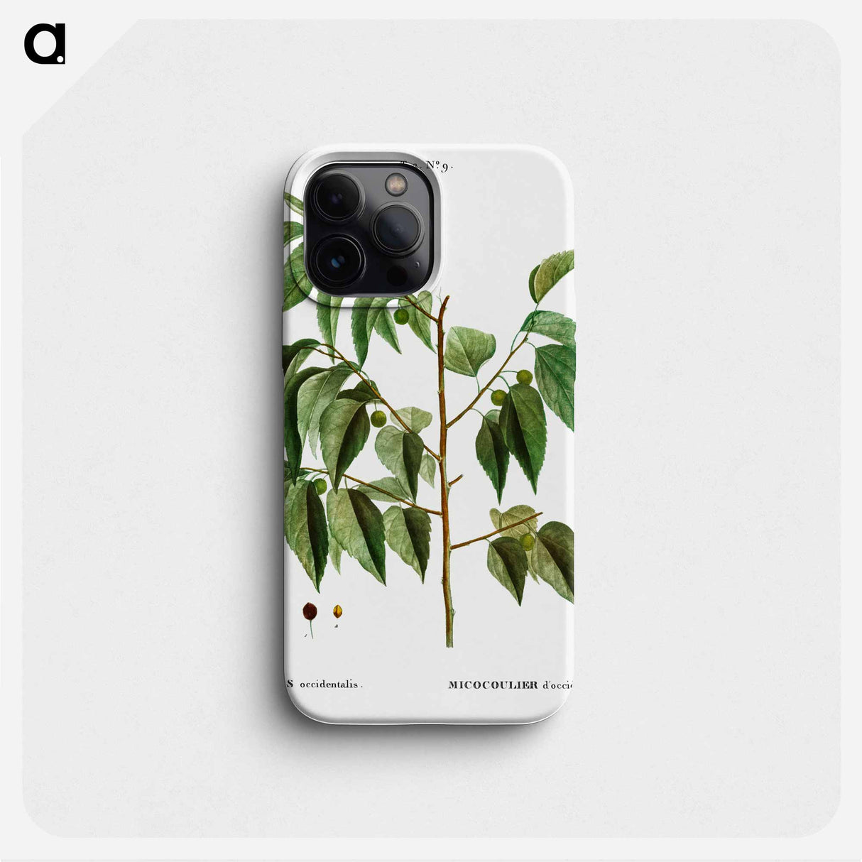 Hackberry (Cellis occidentalis) - Pierre Joseph Redouté Phone Case.