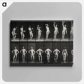 アートパネル-Weightlifter
 - エドワード マイブリッジ Canvas.