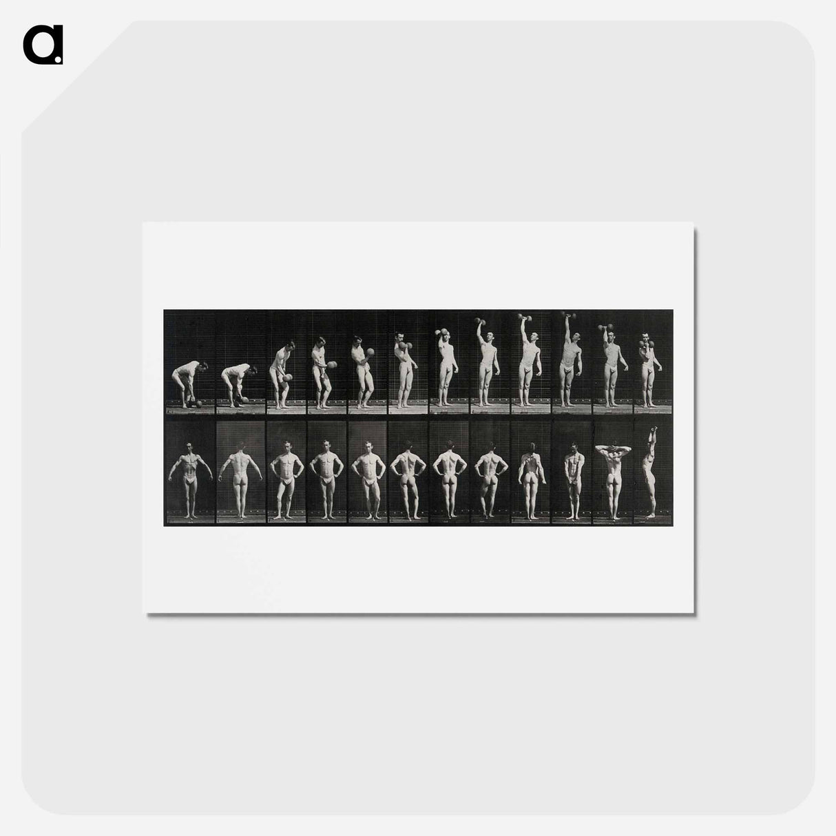 アートポストカード-Weightlifter
 - エドワード マイブリッジ Postcard.