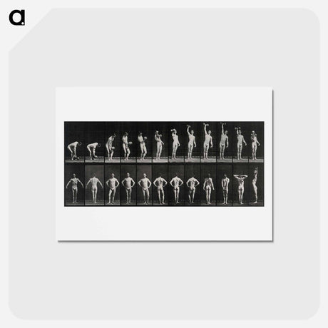 アートポストカード-Weightlifter
 - エドワード マイブリッジ Postcard.