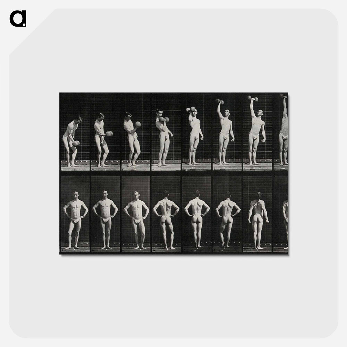 アートポストカード-Weightlifter
 - エドワード マイブリッジ Postcard.