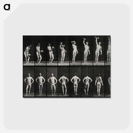 アートポストカード-Weightlifter
 - エドワード マイブリッジ Postcard.