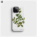 Italian buckthorn - Pierre Joseph Redouté Phone Case.