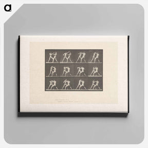 アートパネル-Pugilists in Motion
 - エドワード マイブリッジ Canvas.