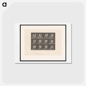 アートポストカード-Pugilists in Motion
 - エドワード マイブリッジ Postcard.
